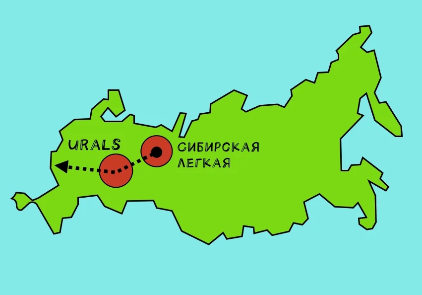 Сибирская легкая