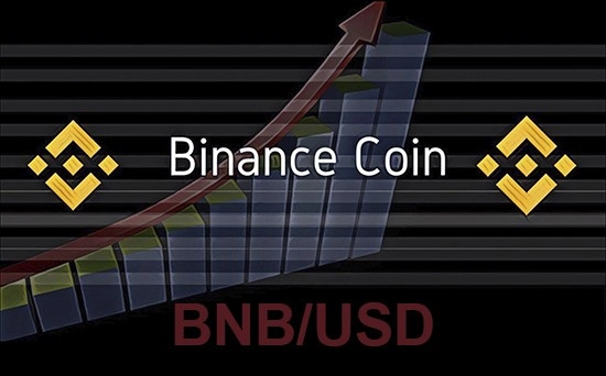 Binance Coin прогноз курса BNB USD на 20.01.2021 Binance Coin прогноз курса BNB USD