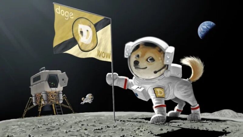 Илон Маск поднял курс Doge на 21%. Прогноз DOGE/USD на 26 февраля