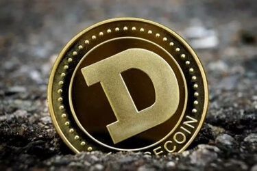 Руководство для начинающих по добыче Dogecoin