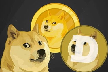 Dogecoin - это просто игра, поэтому убедитесь, что вы знаете правила