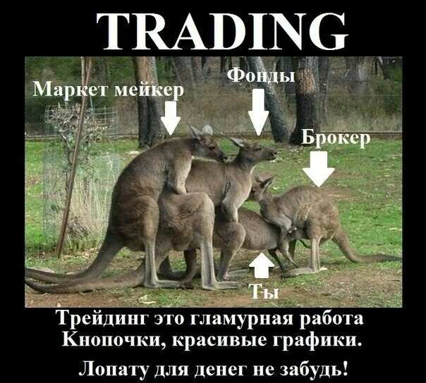 Почему большинство трейдеров терпят неудачу