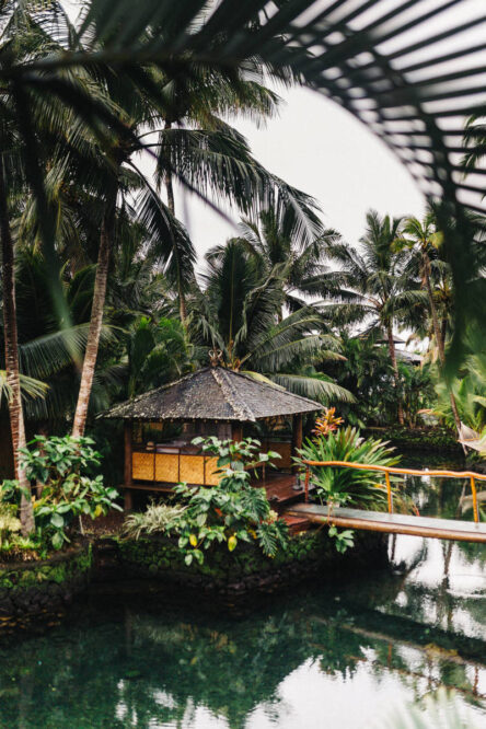 EU Will Make Bitcoin Traceable & Ban Anonymous Crypto depositphotos 458703222 xl 2015 1