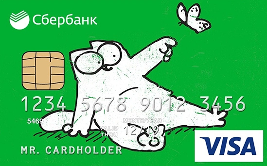 Виды платежных систем: карты МИР, Visa, MasterCard, Maestro