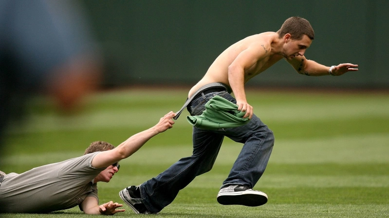 Почему админы хайпов скрывают свои предыдущие проекты 3 Почему админы хайпов скрывают свои предыдущие проекты