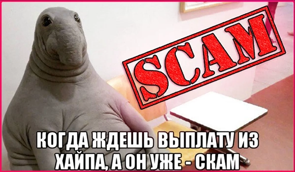 Раскрутка хайпов: принципы и особенности