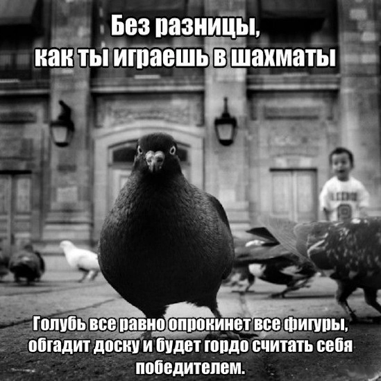 Что такое мультиаккаунты в хайпах
