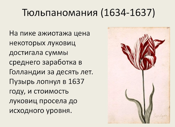 Тюльпановая лихорадка