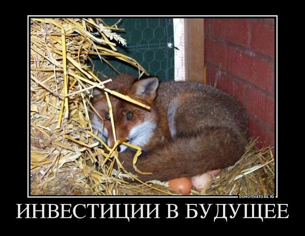 Нет никакой сезонности в хайпах