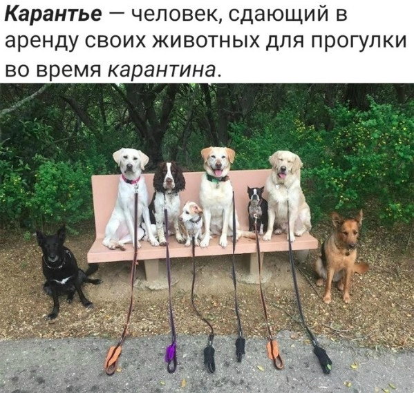 Прокат / аренда востребованных вещей