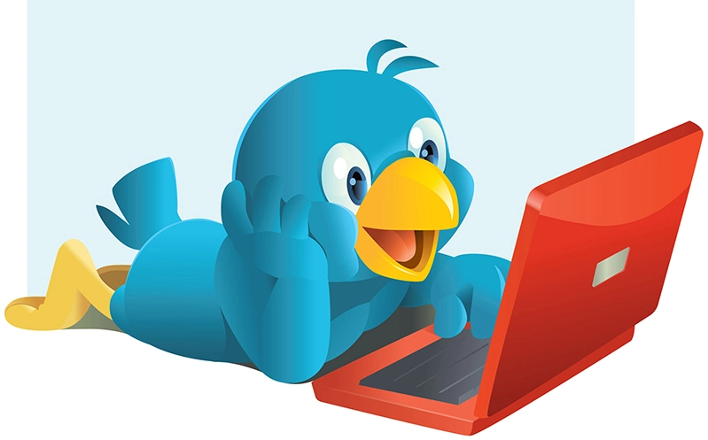 Как создать Twitter для вашего бизнеса и управлять им